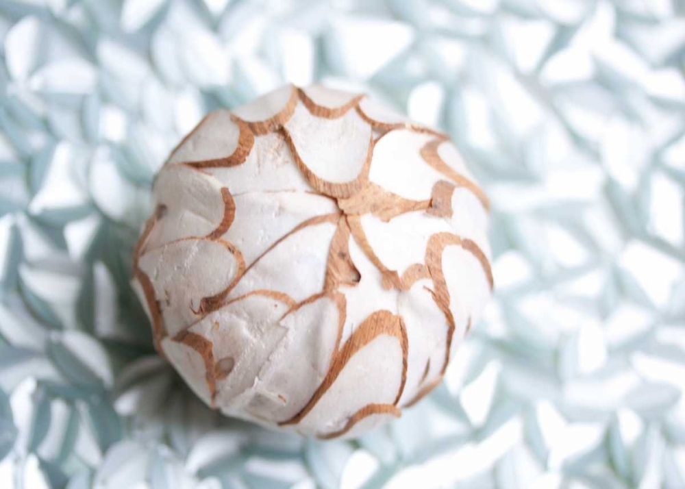 Shimmer Shells I art print by Susan Bryant for $57.95 CAD
