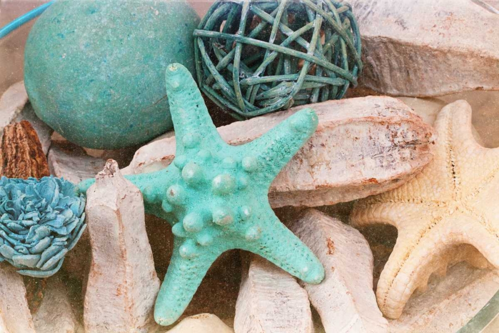 Bundle of Shells I art print by Susan Bryant for $57.95 CAD