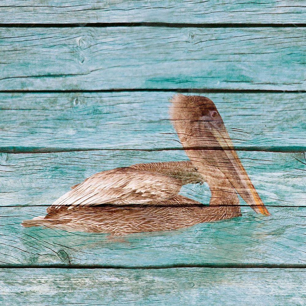 Wood Pelican II art print by Kathy Mansfield for $57.95 CAD
