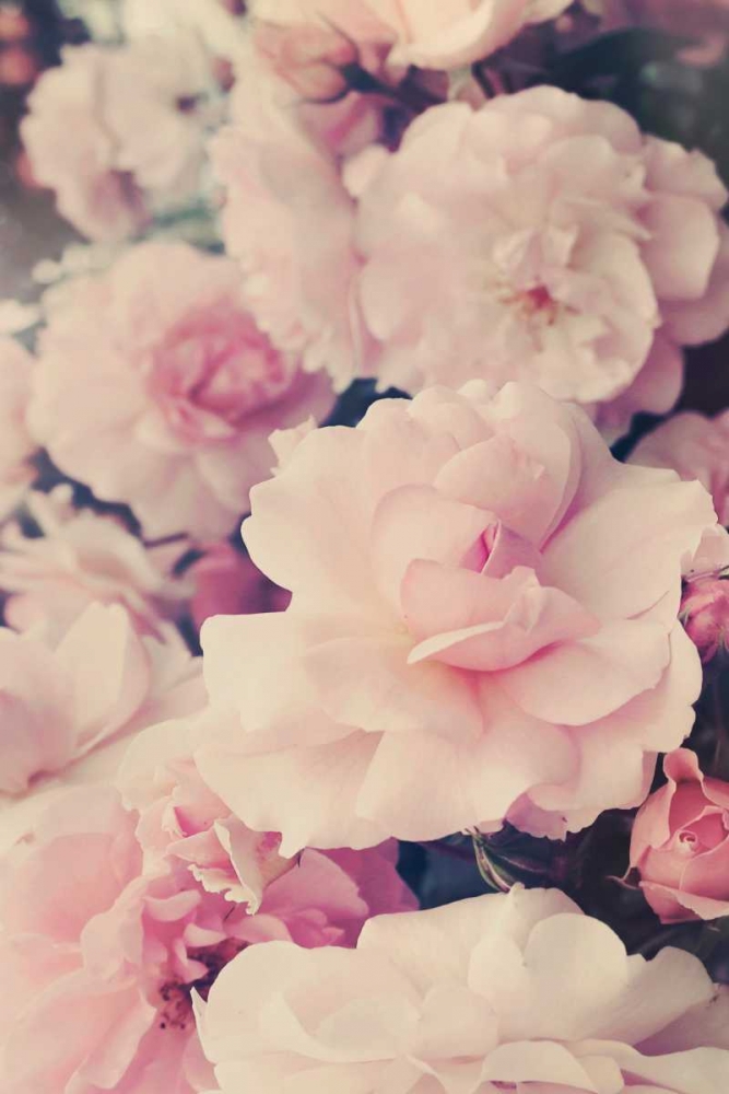 Pink Blossoms I art print by Sarah Gardner for $57.95 CAD