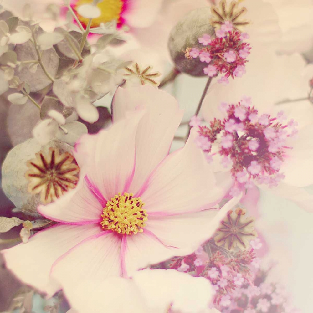 Pink Blossoms II art print by Sarah Gardner for $57.95 CAD