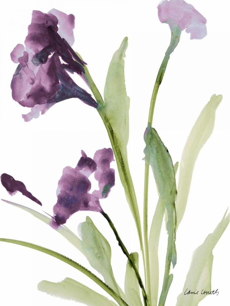 Purple Belles I art print by Lanie Loreth for $57.95 CAD