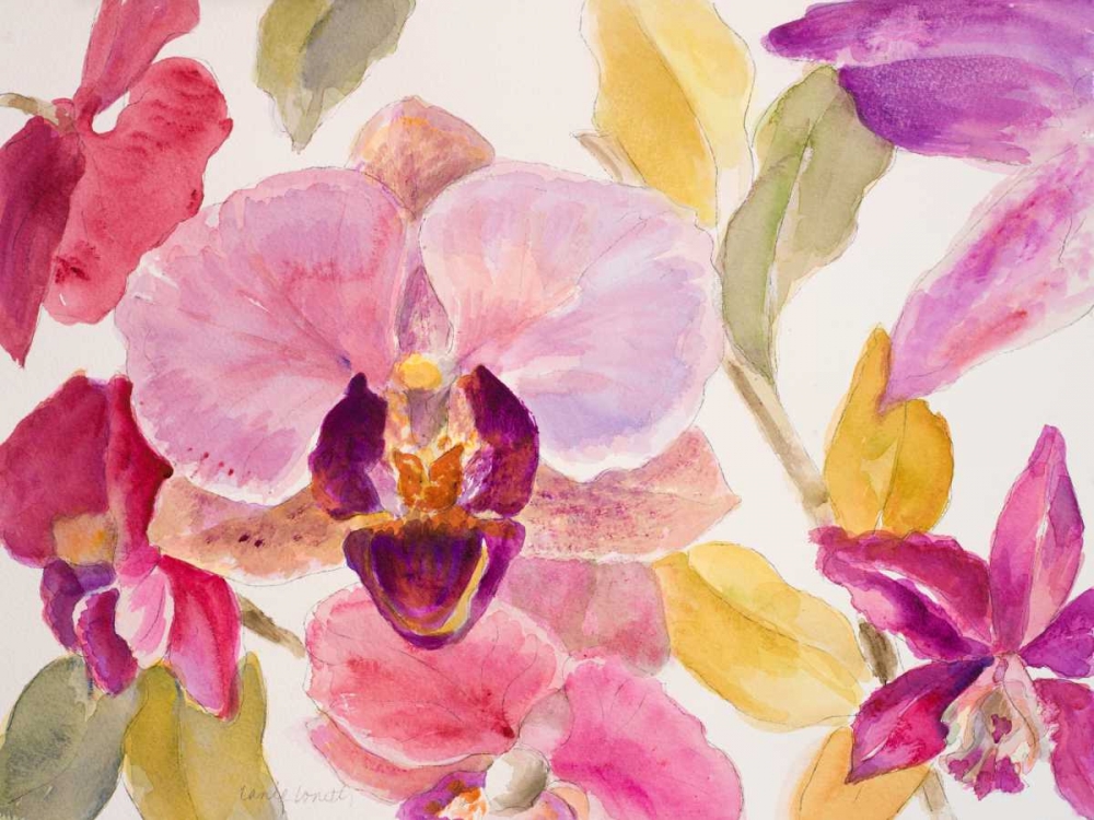 Radiant Orchid II art print by Lanie Loreth for $57.95 CAD