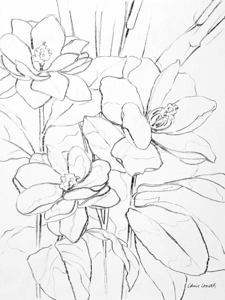 Floral Sketch I art print by Lanie Loreth for $57.95 CAD