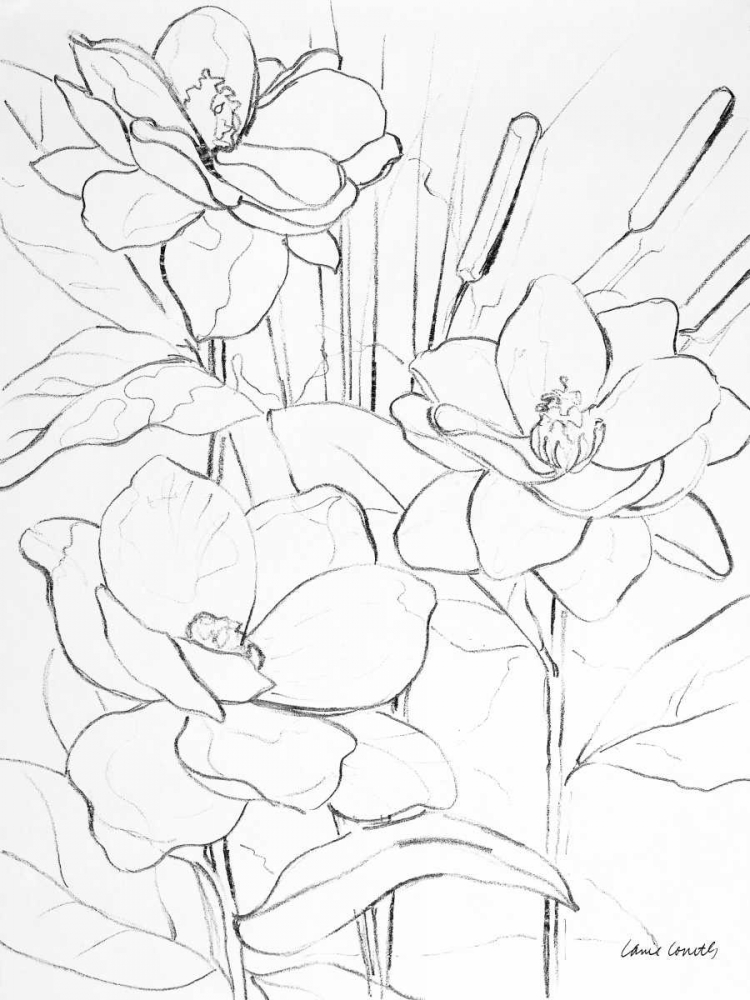 Floral Sketch II art print by Lanie Loreth for $57.95 CAD