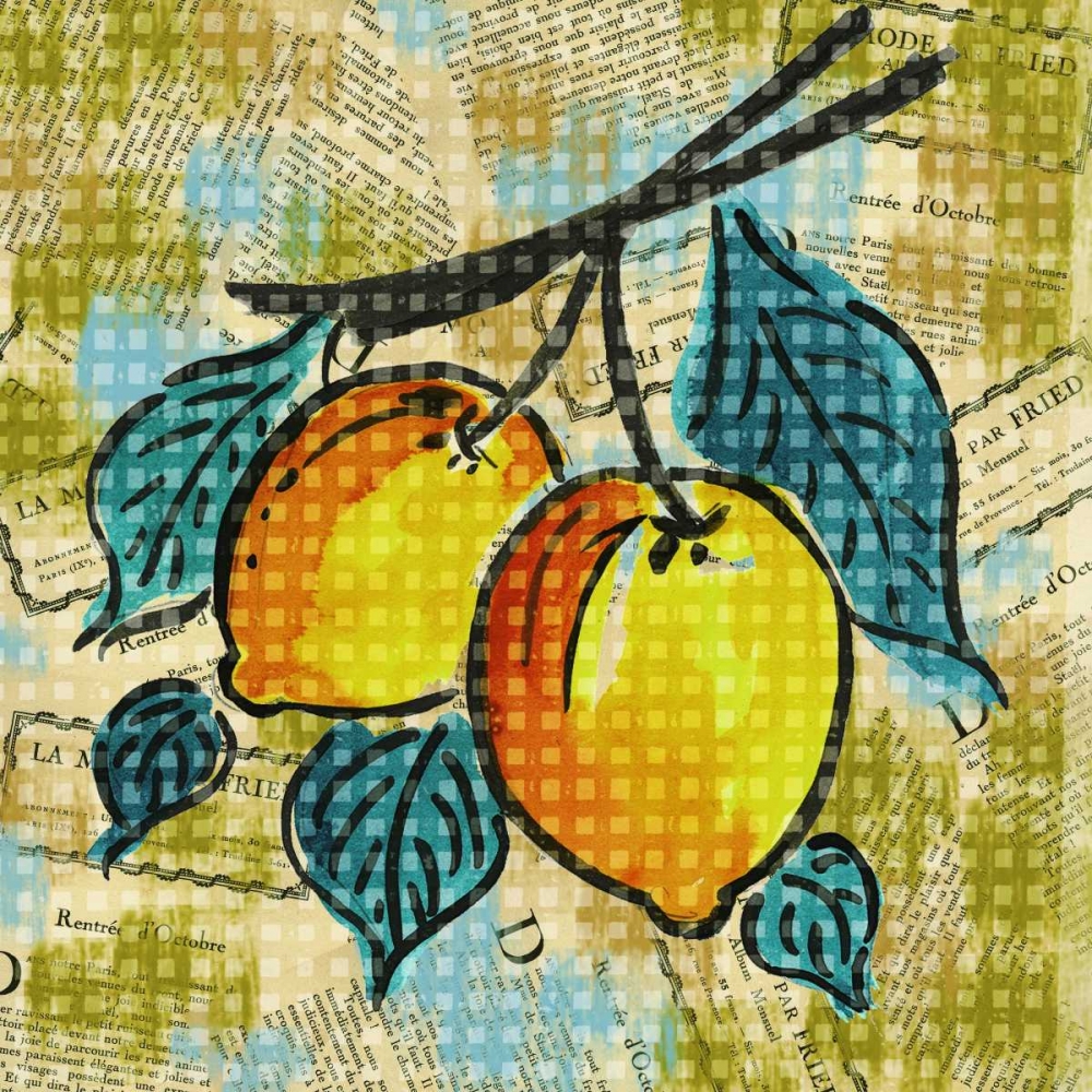 Fashion Fruit II art print by Nicholas Biscardi for $57.95 CAD