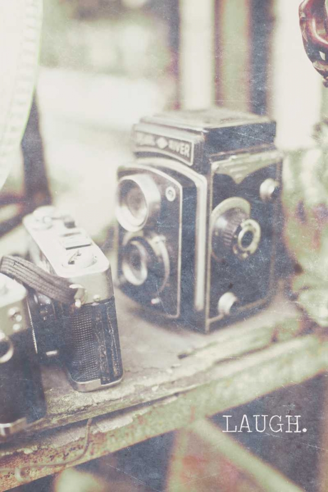 Capture The Moment I art print by Susan Bryant for $57.95 CAD