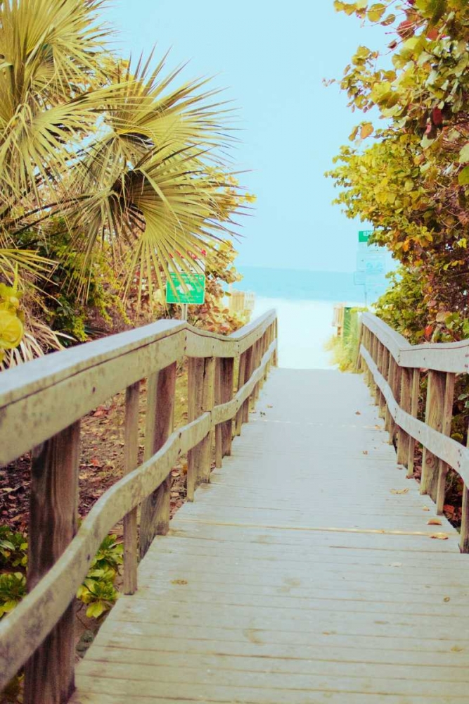 Palm Walkway II art print by Susan Bryant for $57.95 CAD