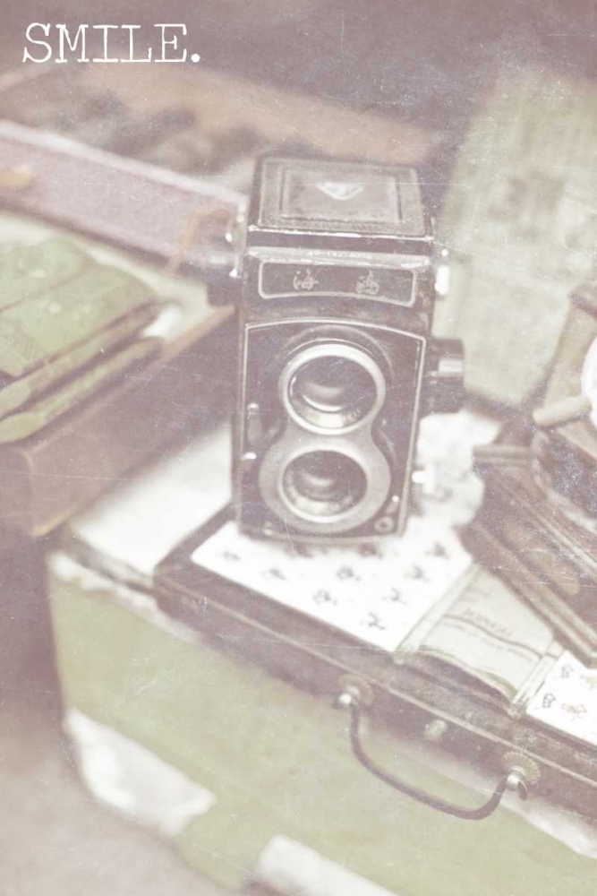 Capture The Moment II art print by Susan Bryant for $57.95 CAD