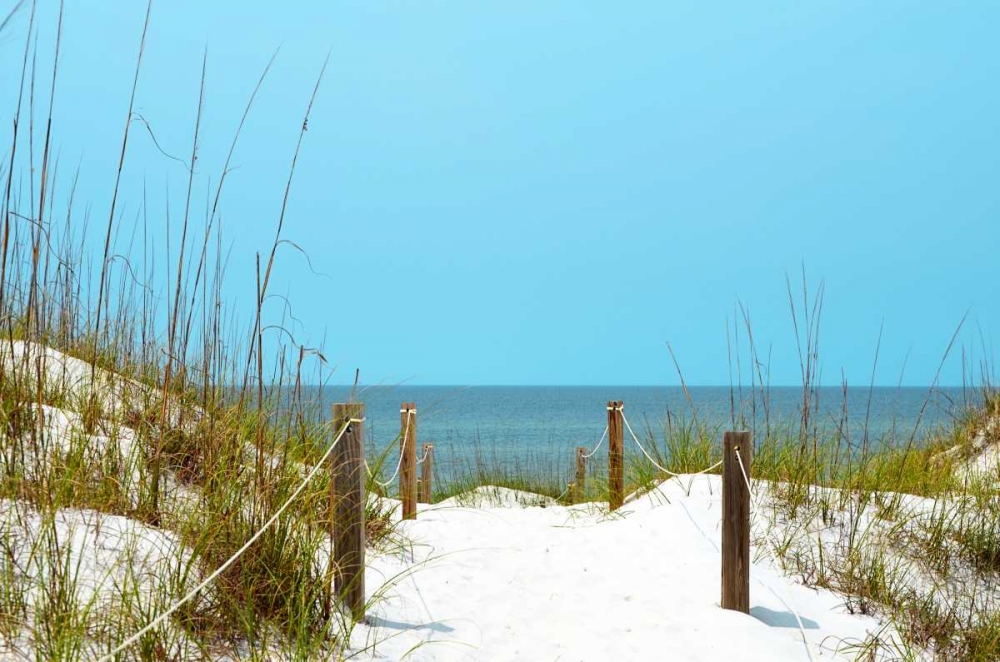 White Sandy Beach I art print by Gail Peck for $57.95 CAD