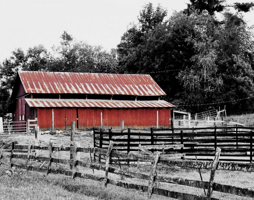 BW Rustic Barn art print by Gail Peck for $57.95 CAD