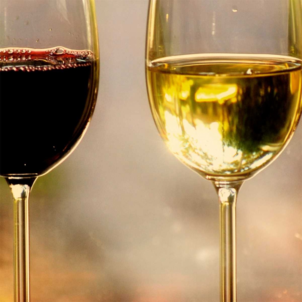 Wine Glasses in the Light art print by Gail Peck for $57.95 CAD