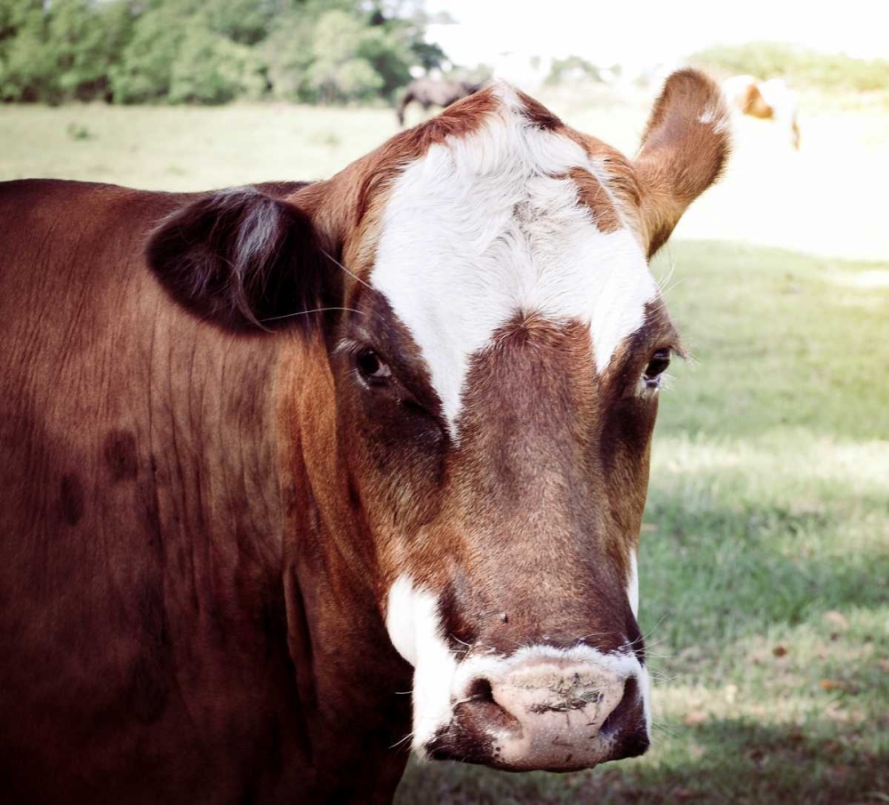 Farm art print by Gail Peck for $57.95 CAD