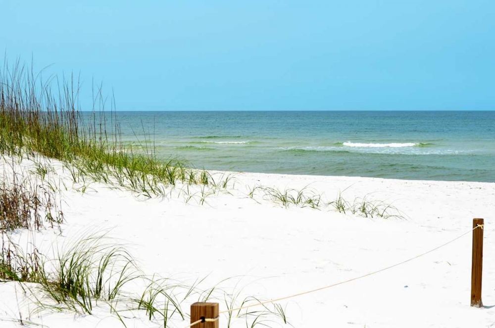 White Sandy Beach II art print by Gail Peck for $57.95 CAD
