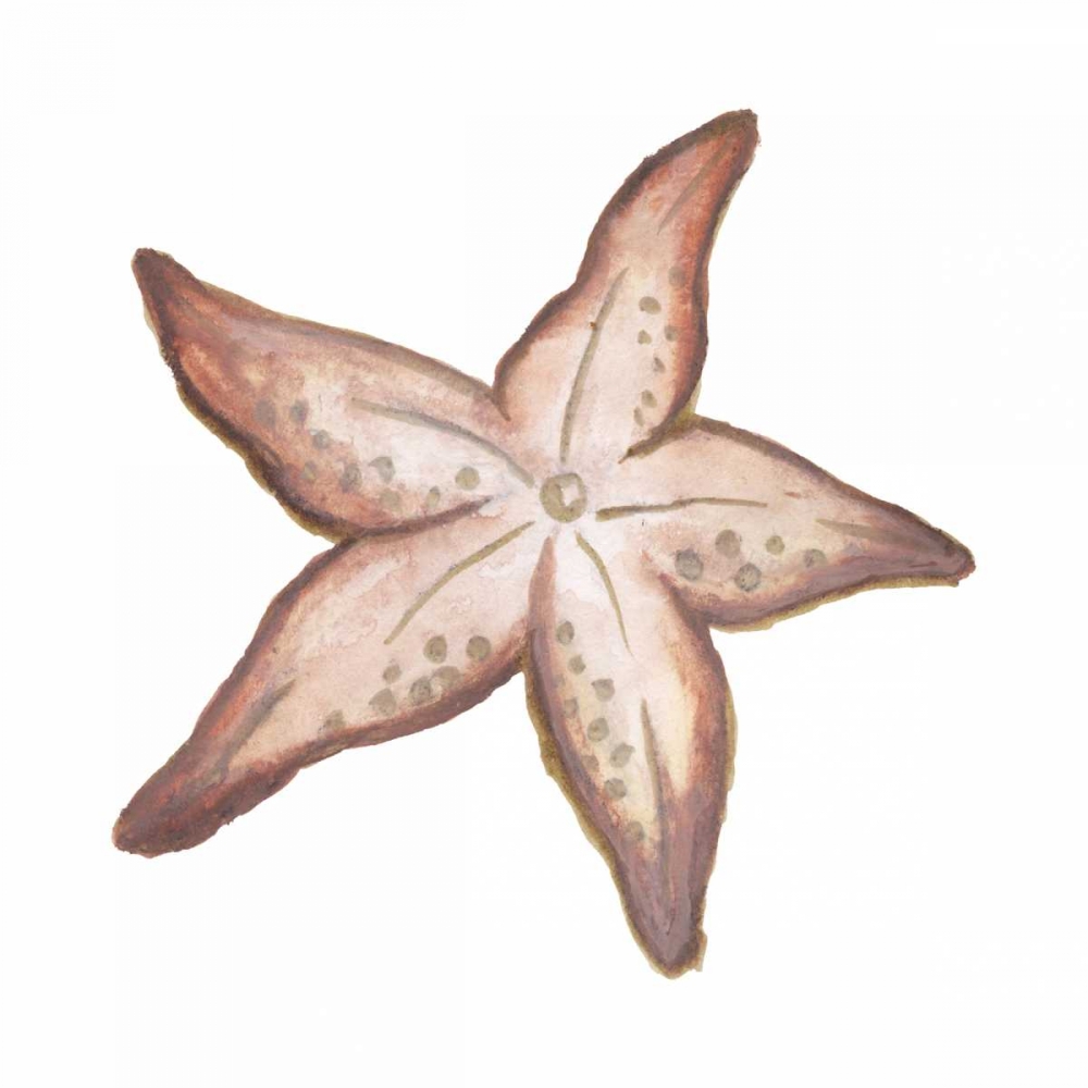 Coastal Icon Coral VII art print by Elizabeth Medley for $57.95 CAD