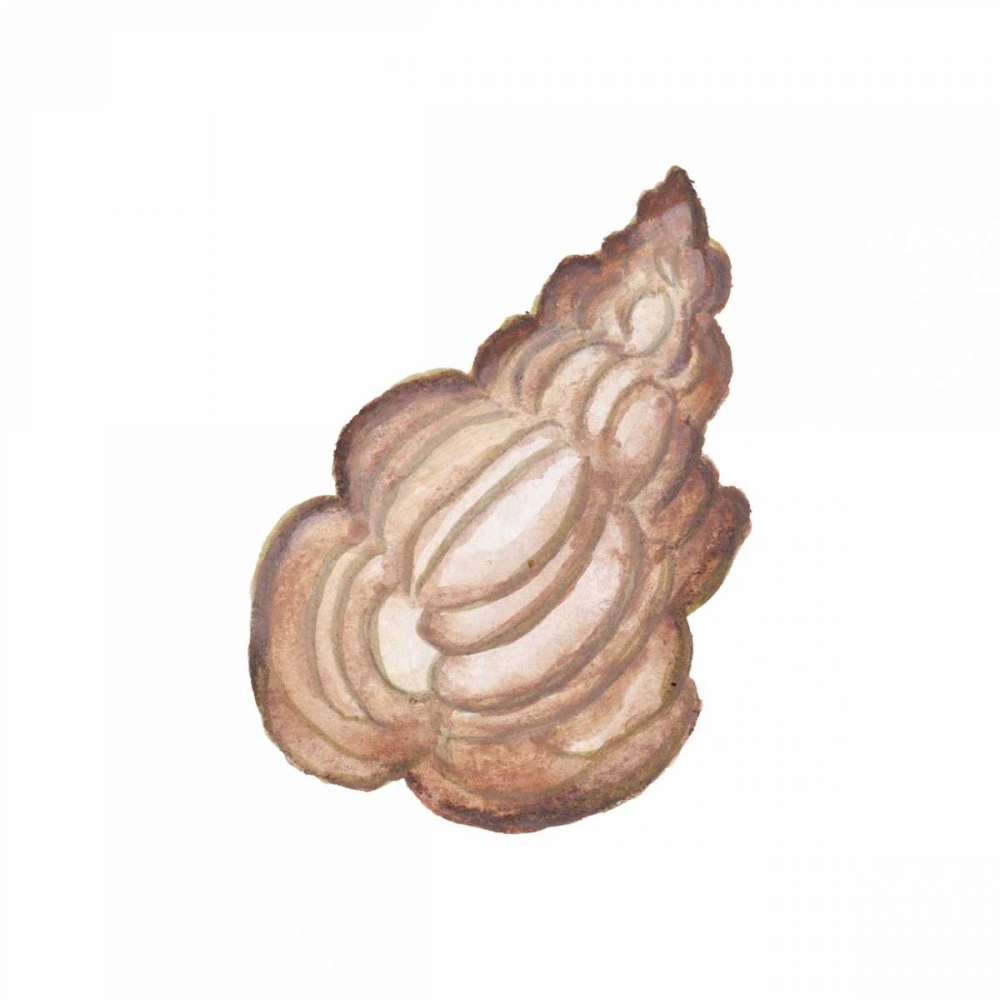 Coastal Icon Coral IX art print by Elizabeth Medley for $57.95 CAD