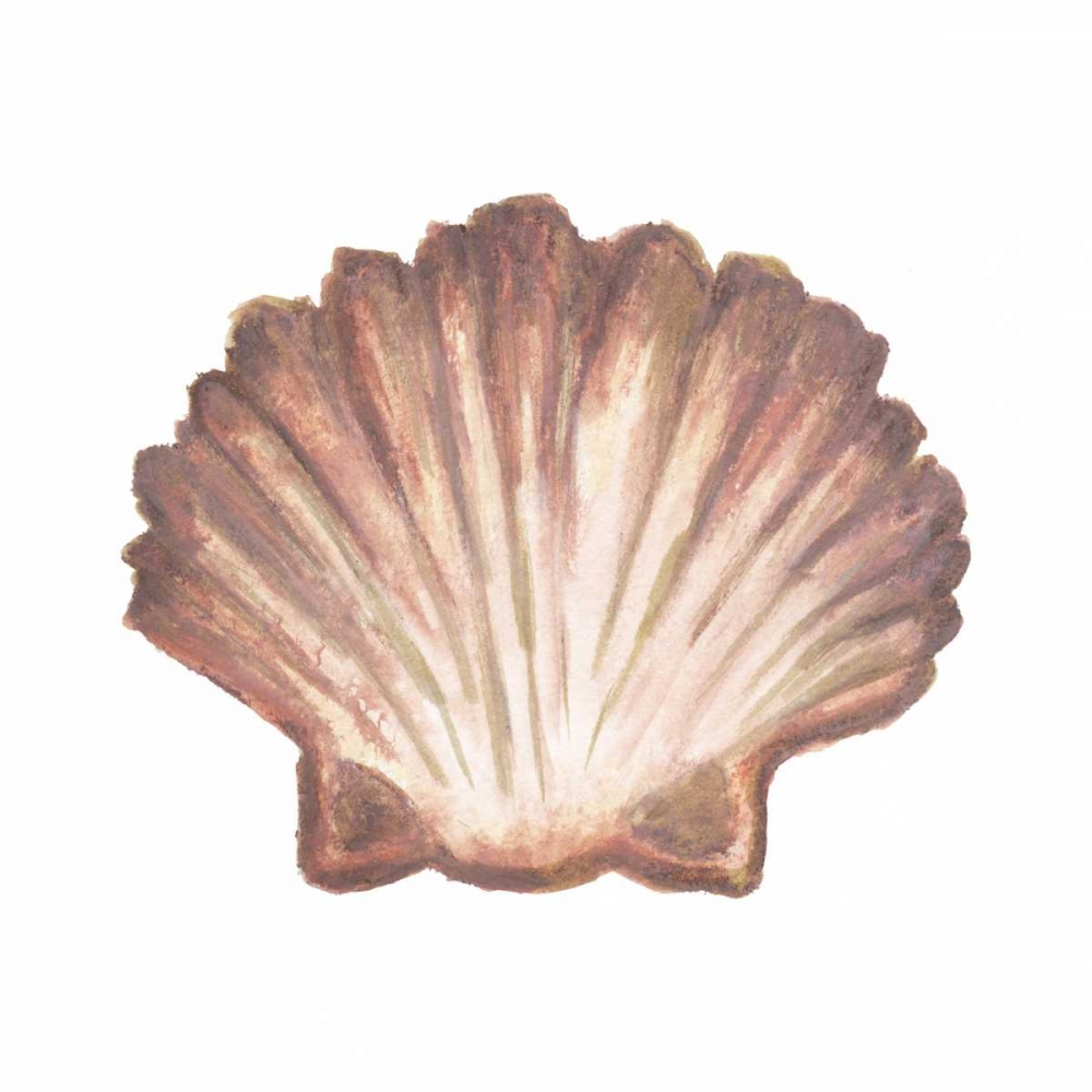 Coastal Icon Coral VI art print by Elizabeth Medley for $57.95 CAD