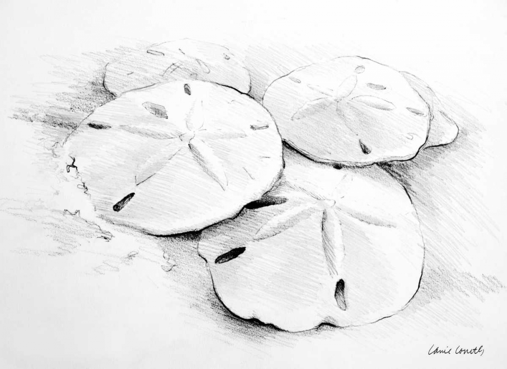 Sand Dollar I art print by Lanie Loreth for $57.95 CAD