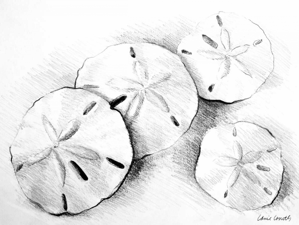 Sand Dollar II art print by Lanie Loreth for $57.95 CAD