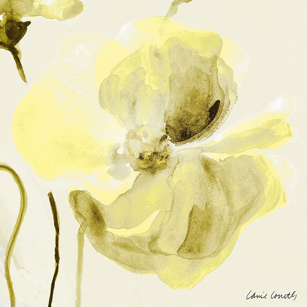 All Cream Poppies art print by Lanie Loreth for $57.95 CAD