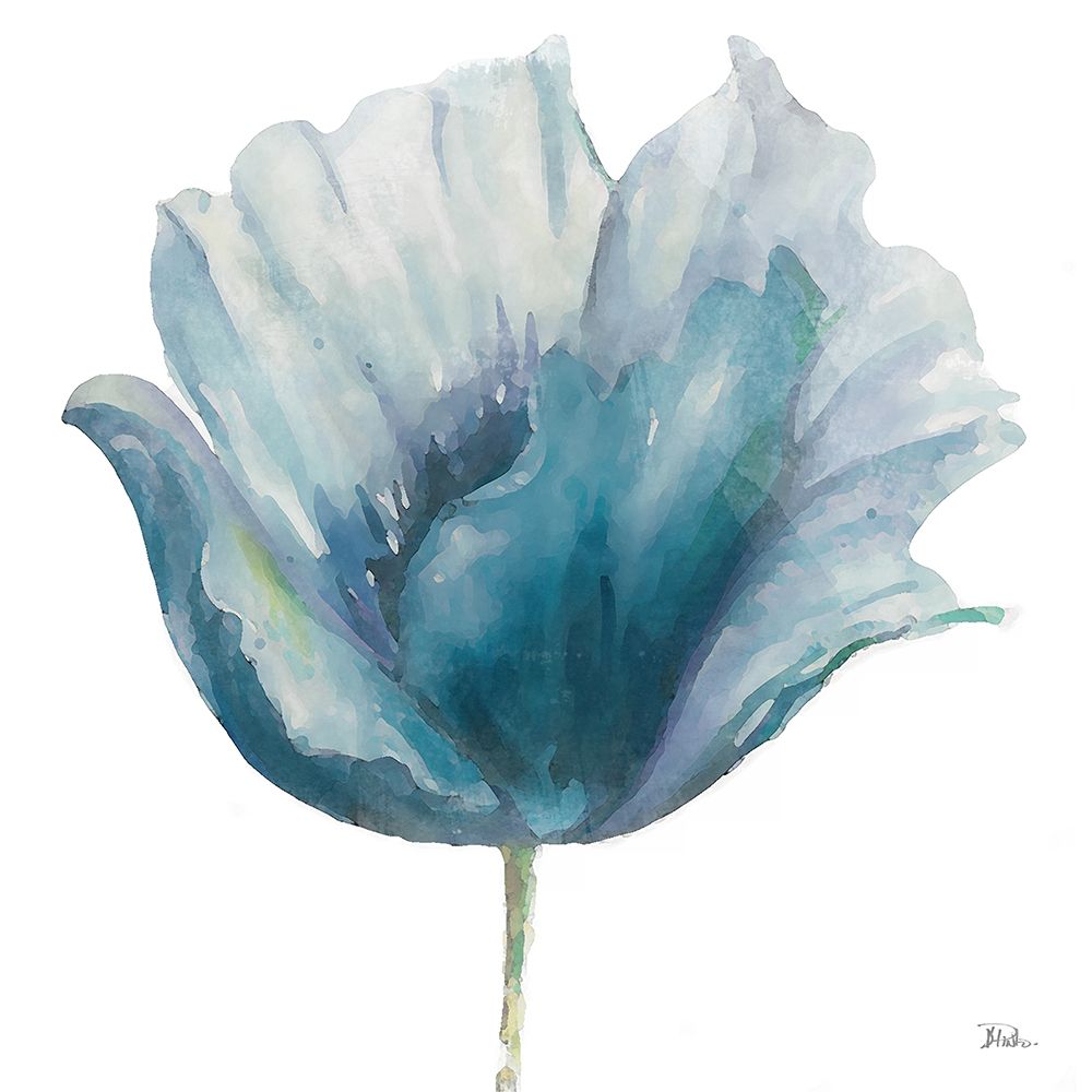 Flower in Blue I (on white) art print by Patricia Pinto for $57.95 CAD