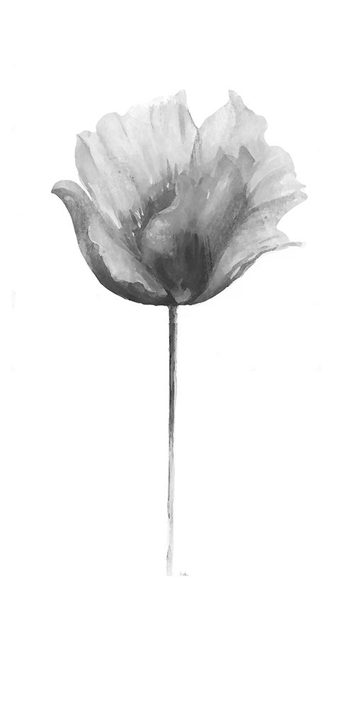 Flower in Gray Panel I art print by Patricia Pinto for $57.95 CAD