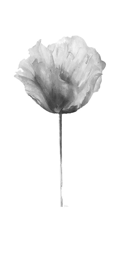 Flower in Gray Panel II art print by Patricia Pinto for $57.95 CAD