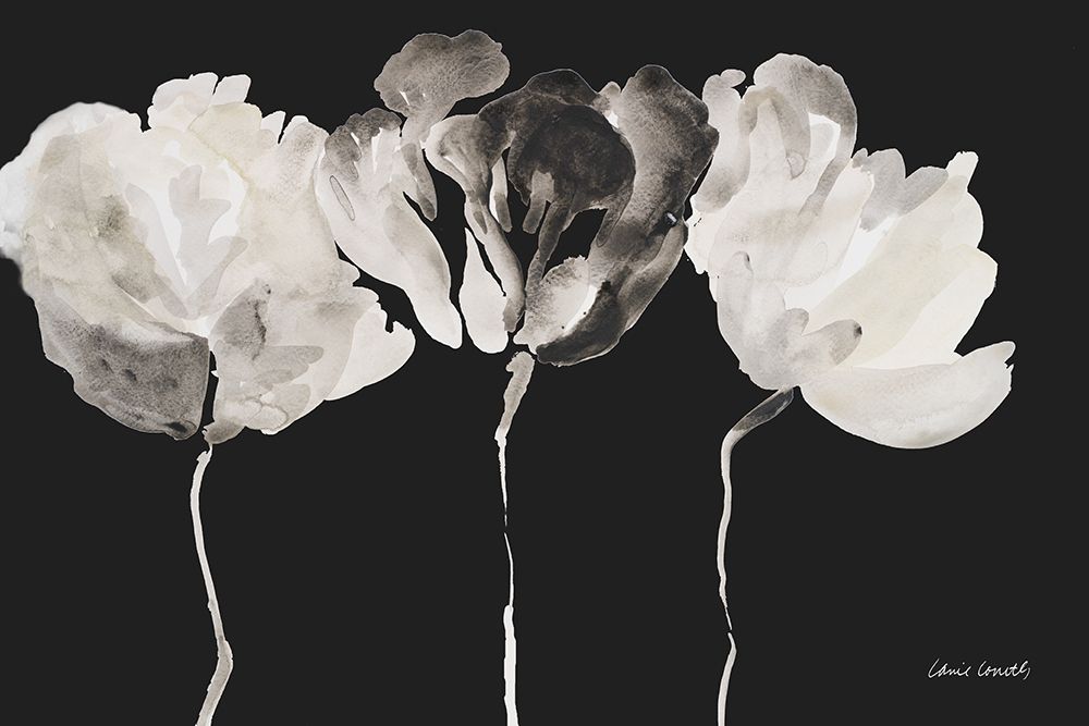 Trio in Light on Black art print by Lanie Loreth for $57.95 CAD