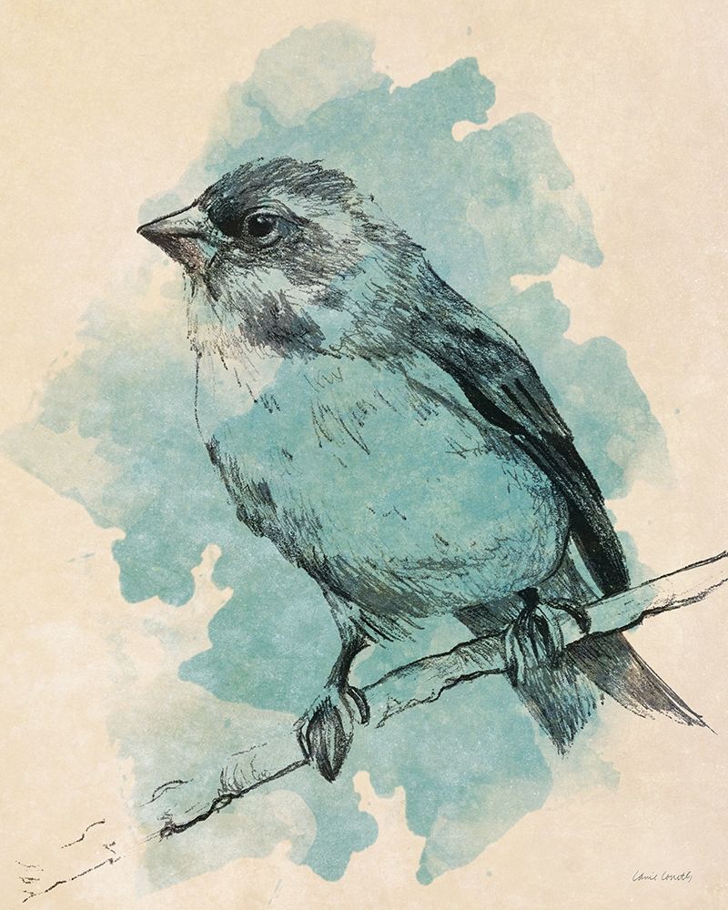 Bird Study in Teal I art print by Lanie Loreth for $57.95 CAD
