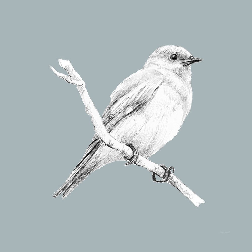 Bird Study on Blue I art print by Lanie Loreth for $57.95 CAD