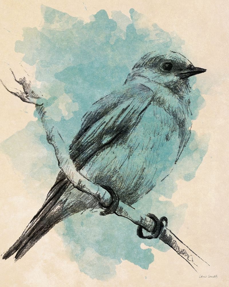 Bird Study in Teal II art print by Lanie Loreth for $57.95 CAD