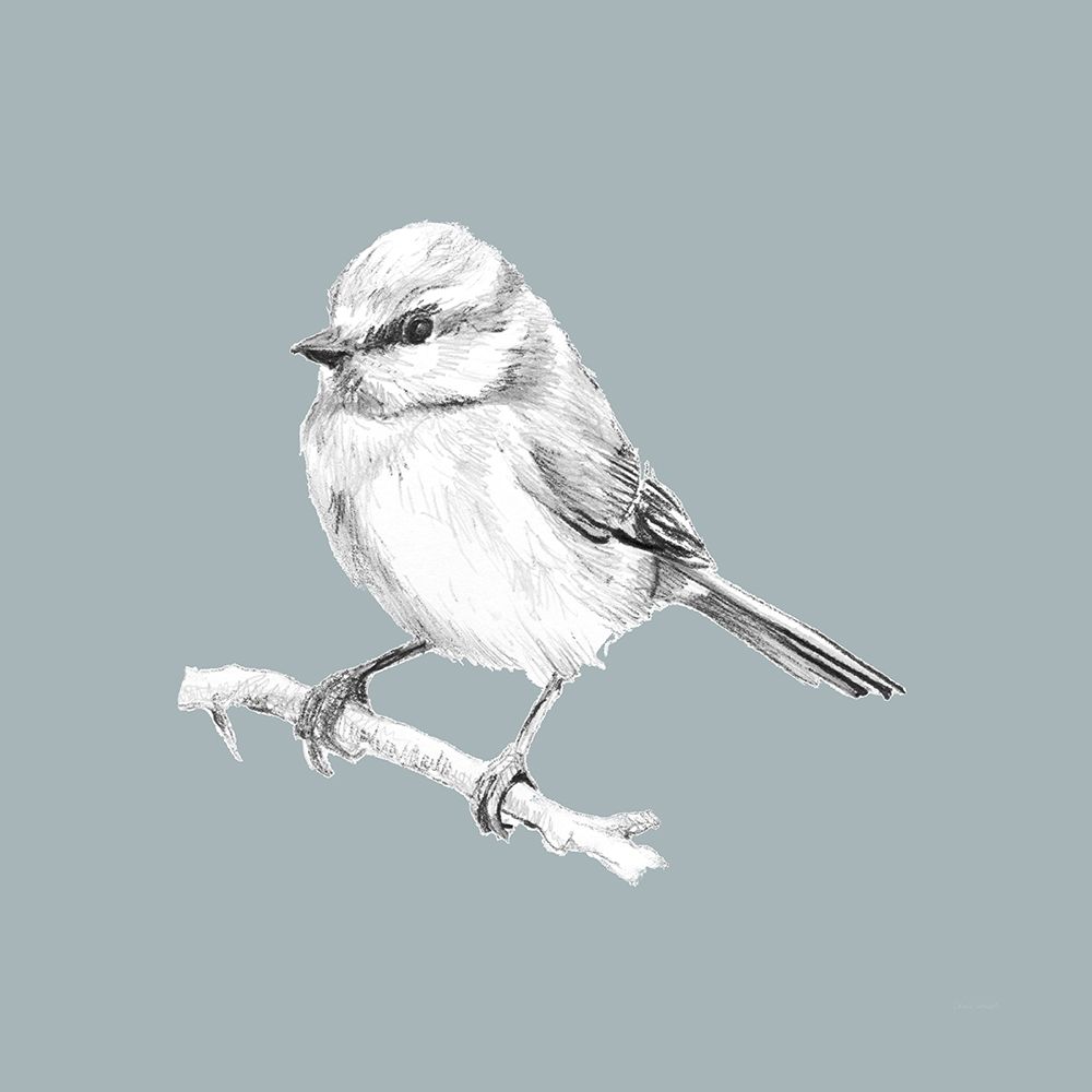 Bird Study on Blue II art print by Lanie Loreth for $57.95 CAD