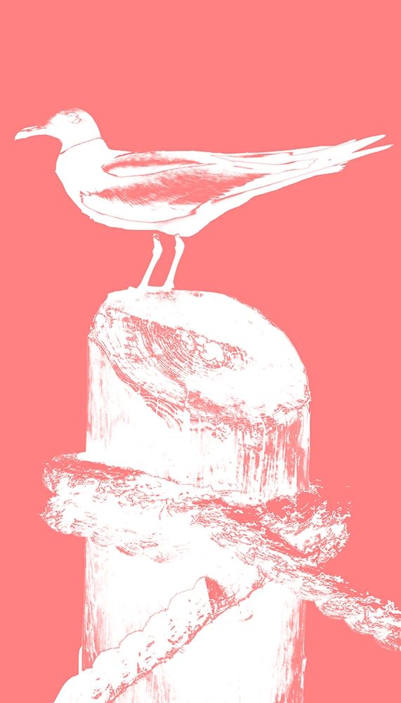 Perching Seabird I art print by Susan Bryant for $57.95 CAD