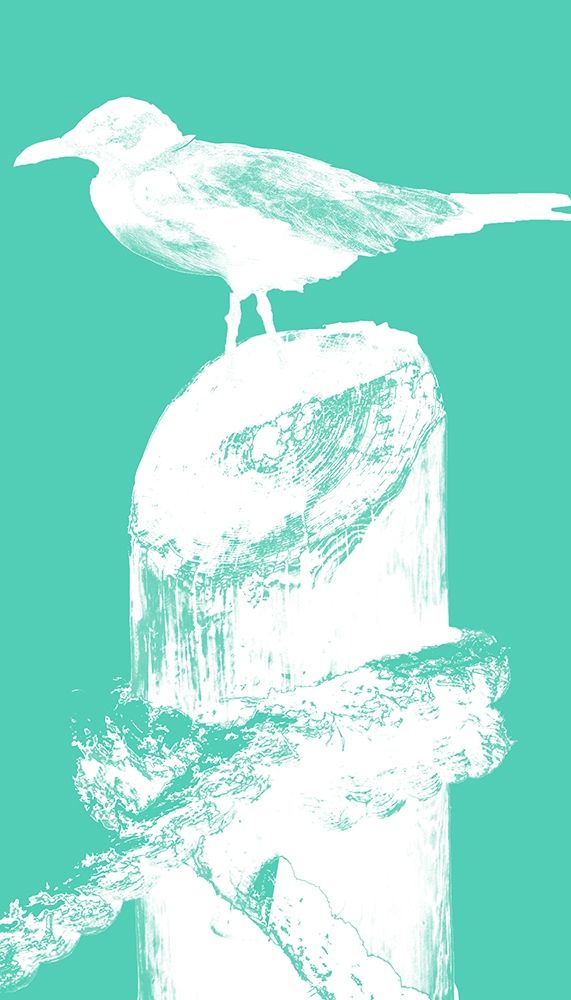 Perching Seabird II art print by Susan Bryant for $57.95 CAD