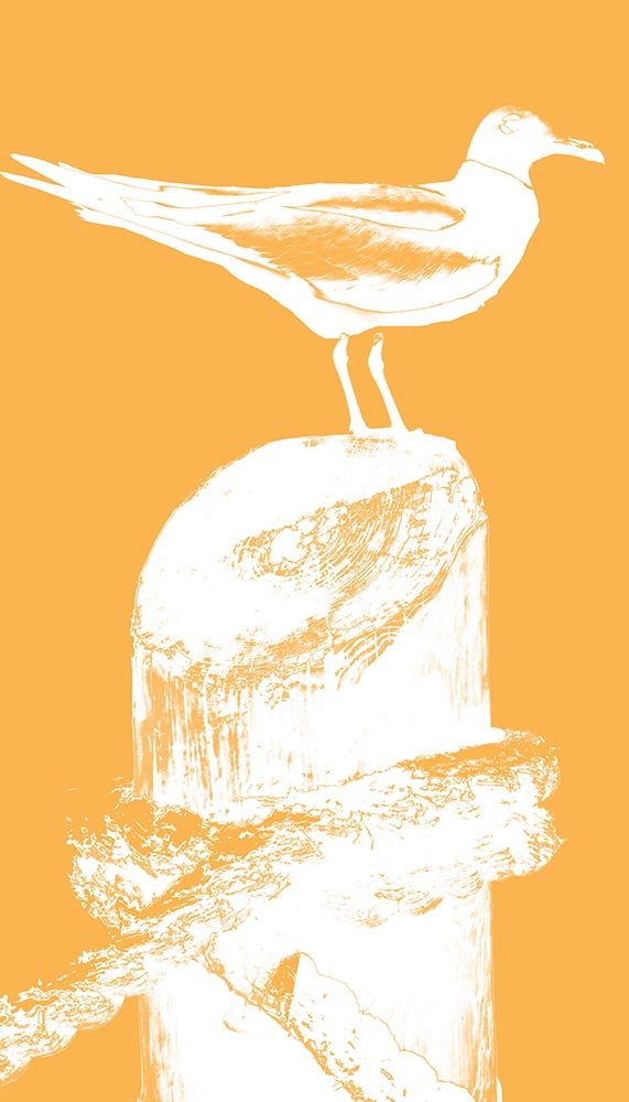 Perching Seabird III art print by Susan Bryant for $57.95 CAD