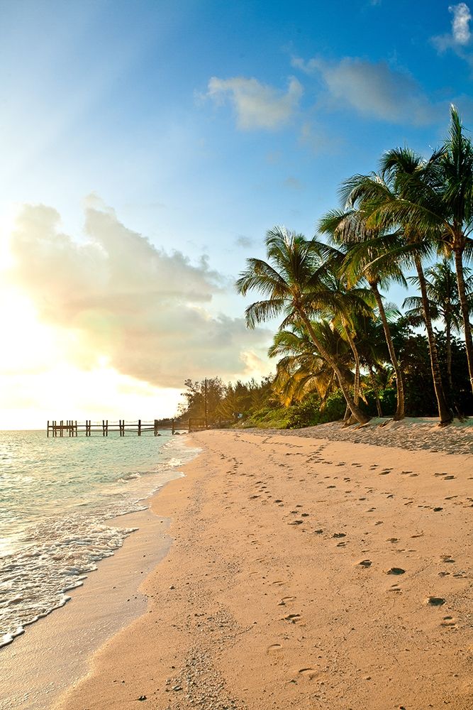 Walk the Beach art print by Susan Bryant for $57.95 CAD