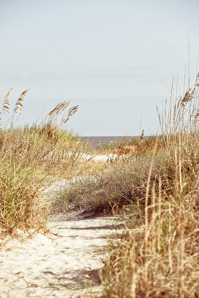 Palm To Beach art print by Susan Bryant for $57.95 CAD