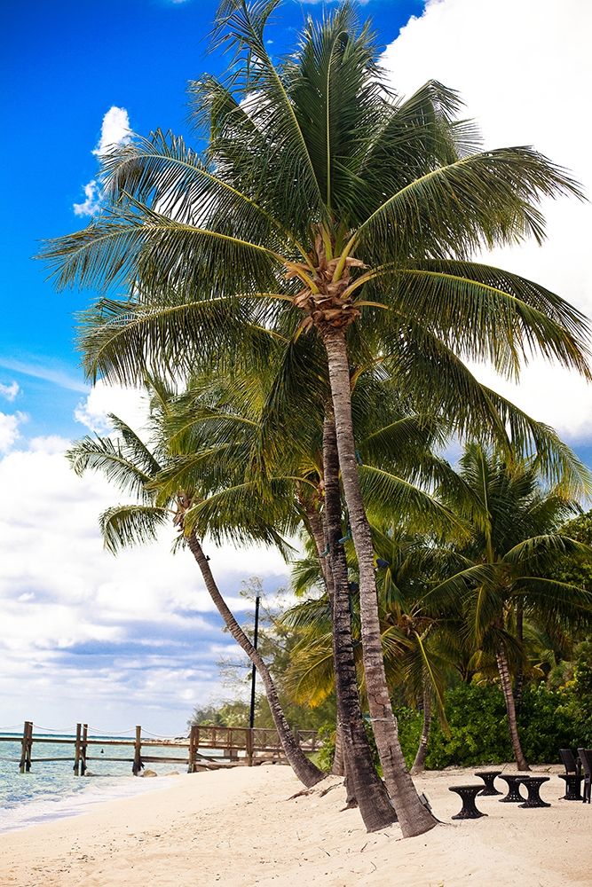 This Is Paradise art print by Susan Bryant for $57.95 CAD