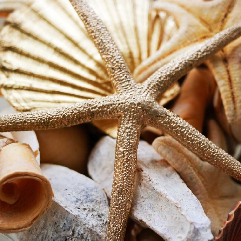 Gold Starfish II art print by Susan Bryant for $57.95 CAD