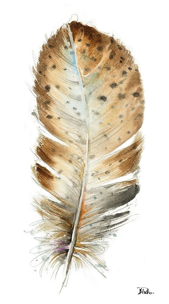 White Watercolor Feather II art print by Patricia Pinto for $57.95 CAD