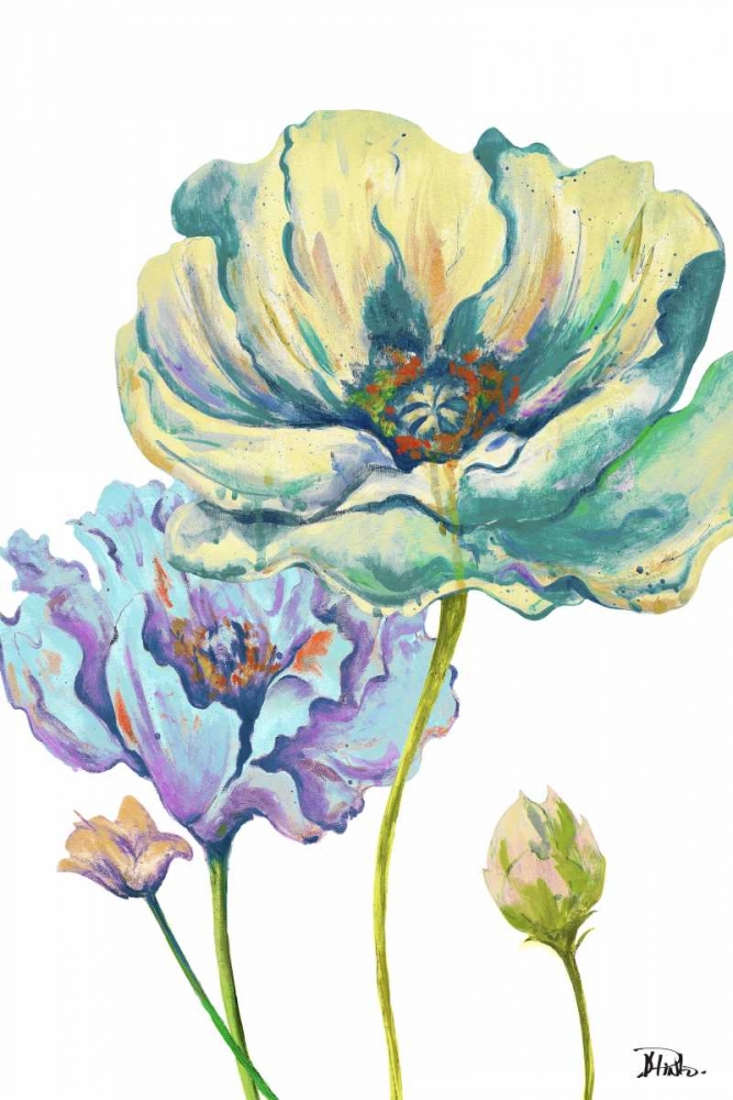 Fresh Colored Poppies II art print by Patricia Pinto for $57.95 CAD