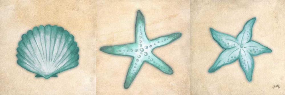 Shells I art print by Elizabeth Medley for $57.95 CAD