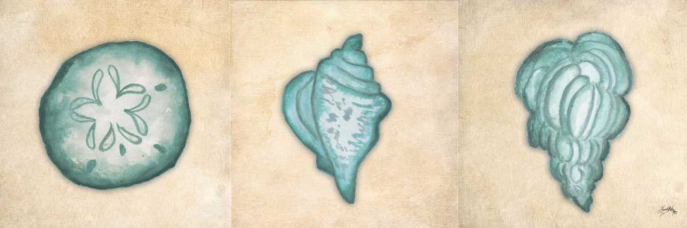 Shells II art print by Elizabeth Medley for $57.95 CAD