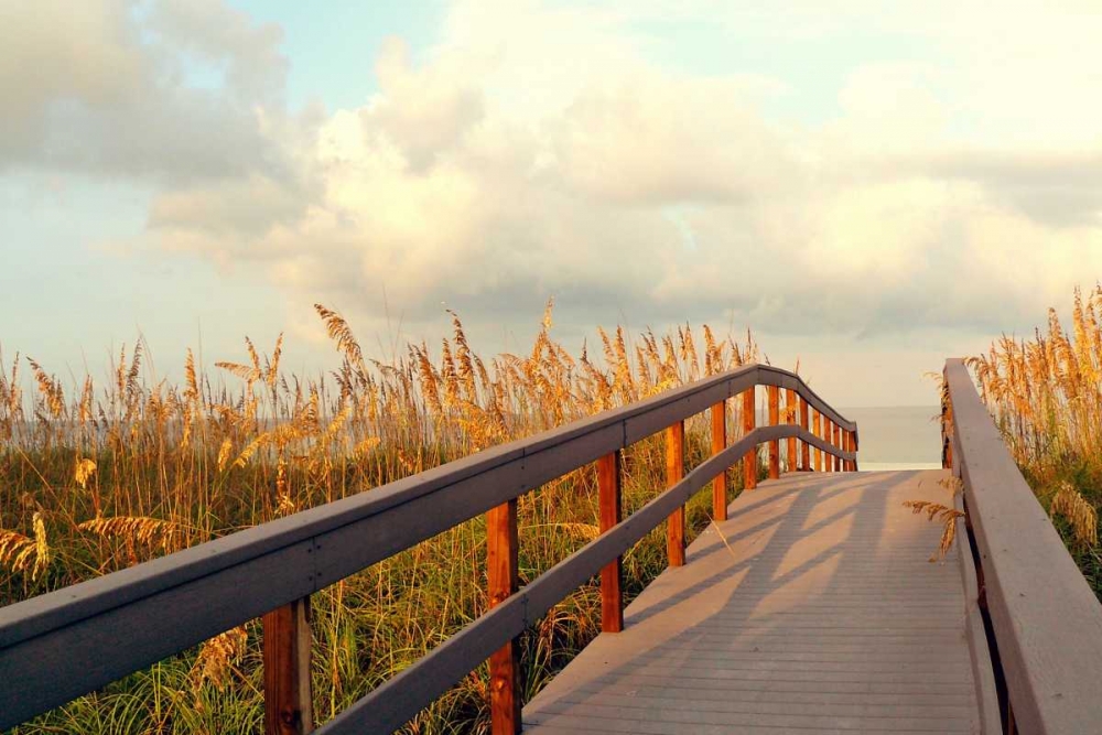 Sunset Pathway art print by Gail Peck for $57.95 CAD