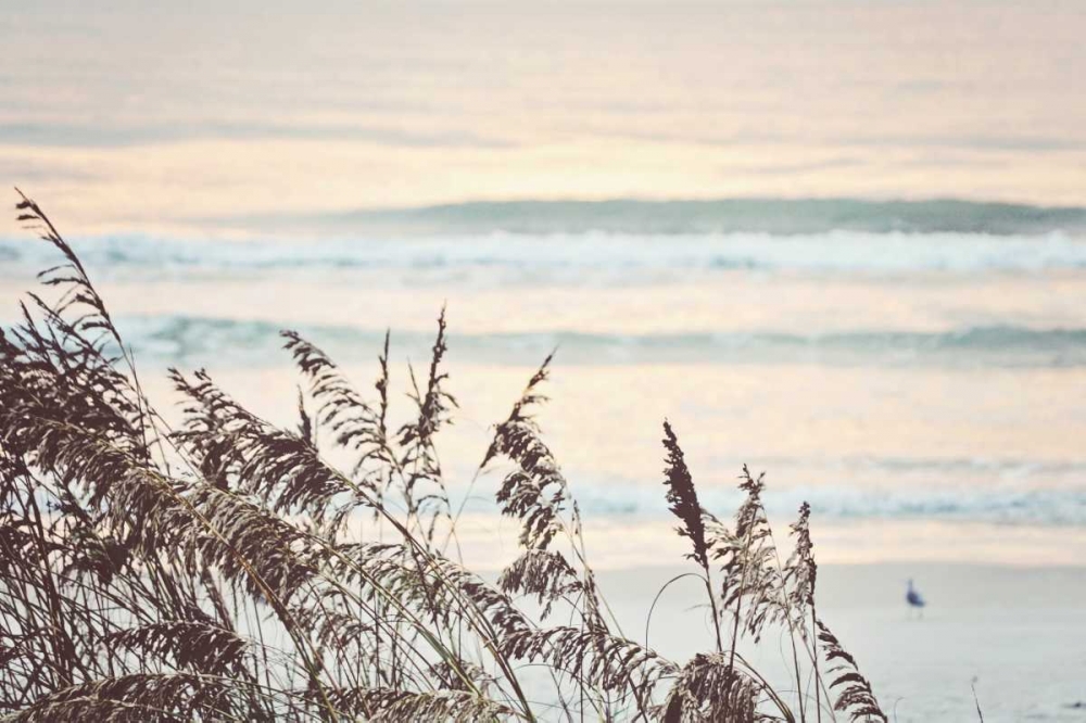 Early Morning art print by Gail Peck for $57.95 CAD