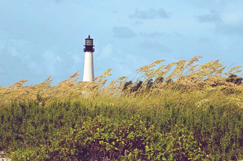 Lighthouse View art print by Gail Peck for $57.95 CAD