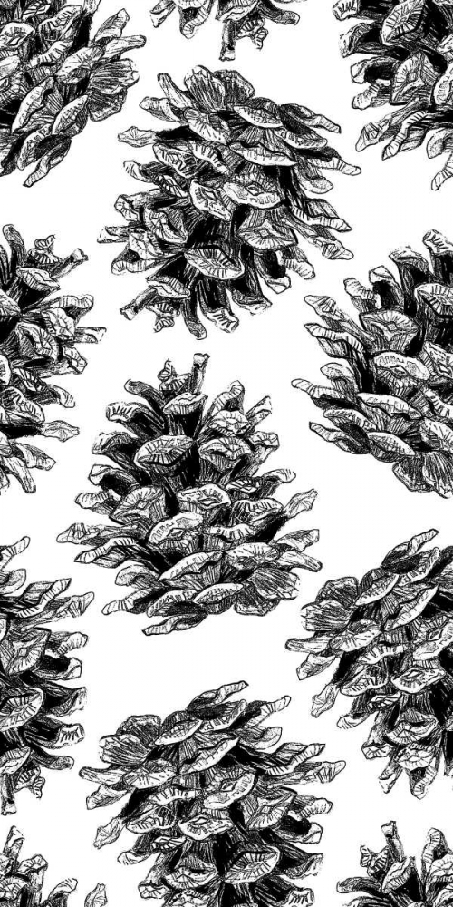 Pinecone Pattern BandW art print by Linda Baliko for $57.95 CAD