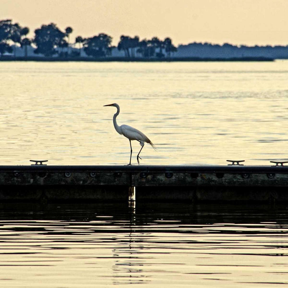 Along The Pier art print by Bruce Nawrocke for $57.95 CAD