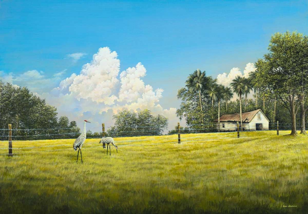 Crane Field art print by Bruce Nawrocke for $57.95 CAD