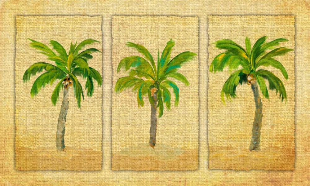 Palm Trio art print by Julie DeRice for $57.95 CAD